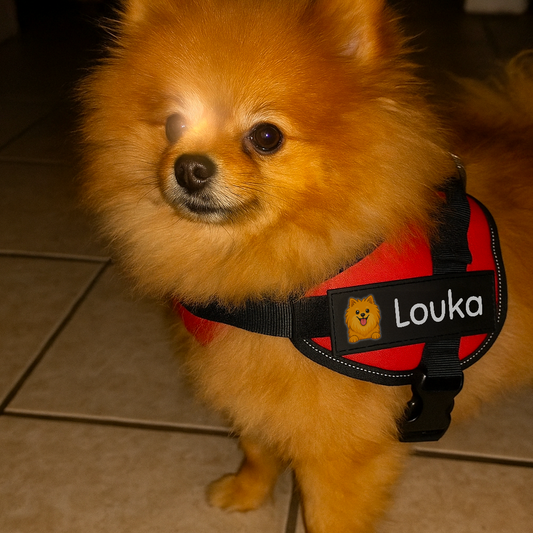 personalized doormat